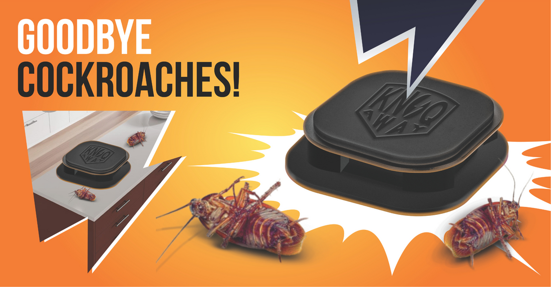 🏠5 Hidden Places Cockroaches Love in Your Home (And How to Stop Them)