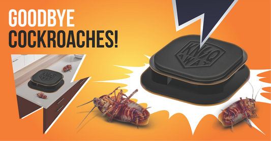 🏠 5 Hidden Places Cockroaches Love in Your Home (And How to Stop Them)