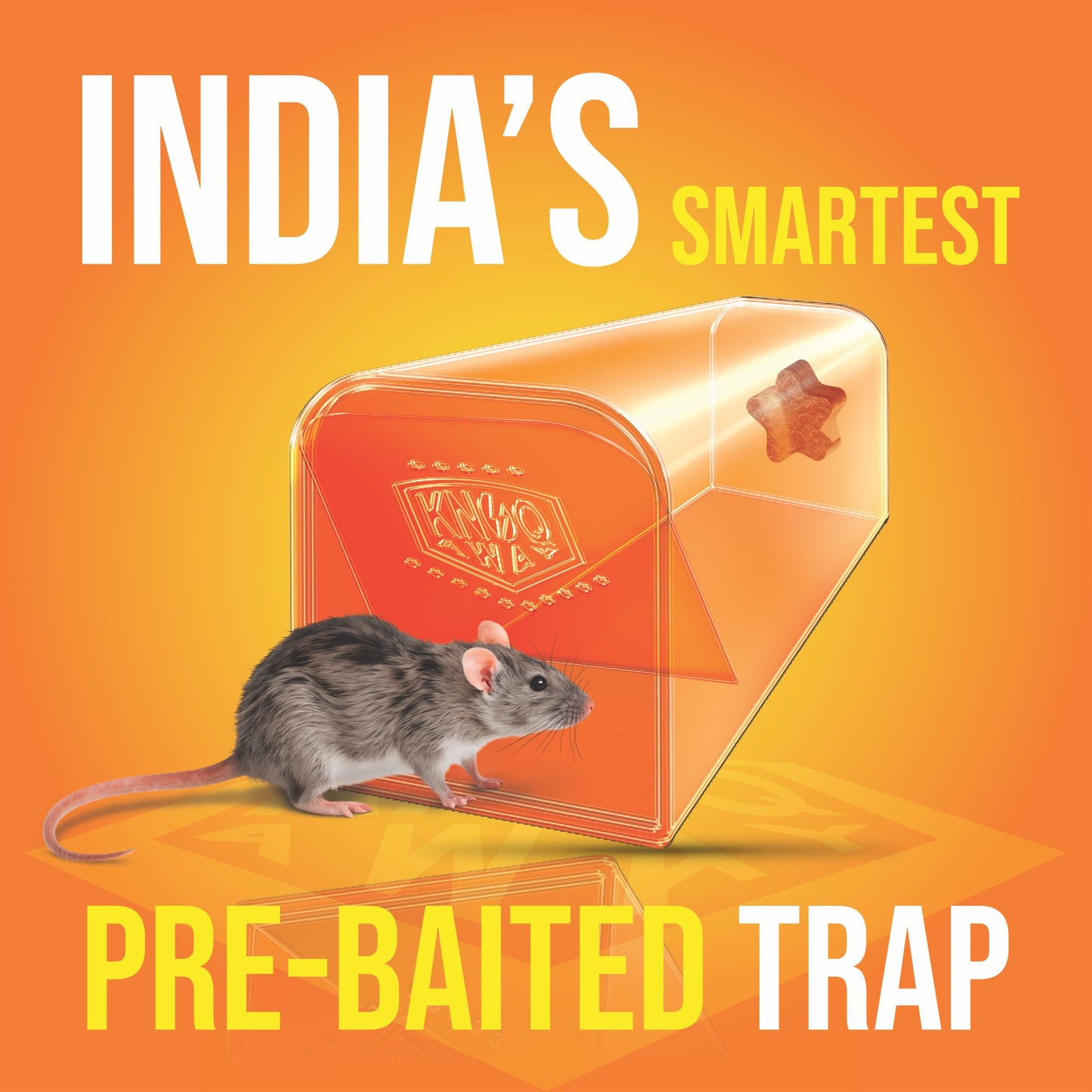 Small Rat Trap with Bait (For Small Rats)
