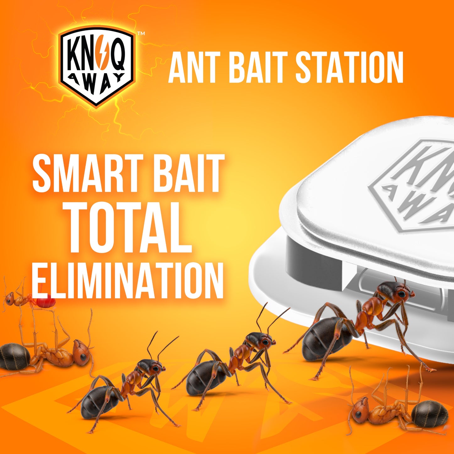Ant Bait Station (Pack of 6)