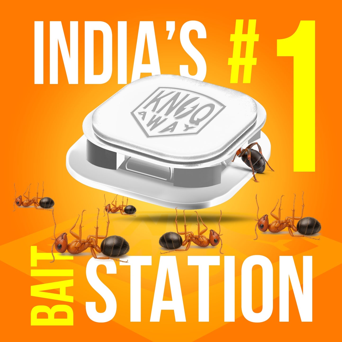 Ant Bait Station (Pack of 6)