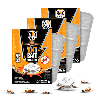 Ant Bait Station (Pack of 6)