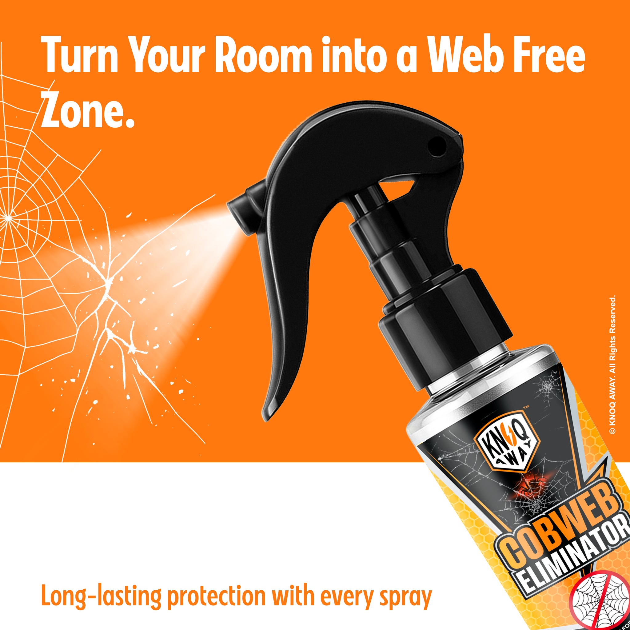 Cob Web Eliminator Spray (100ml)