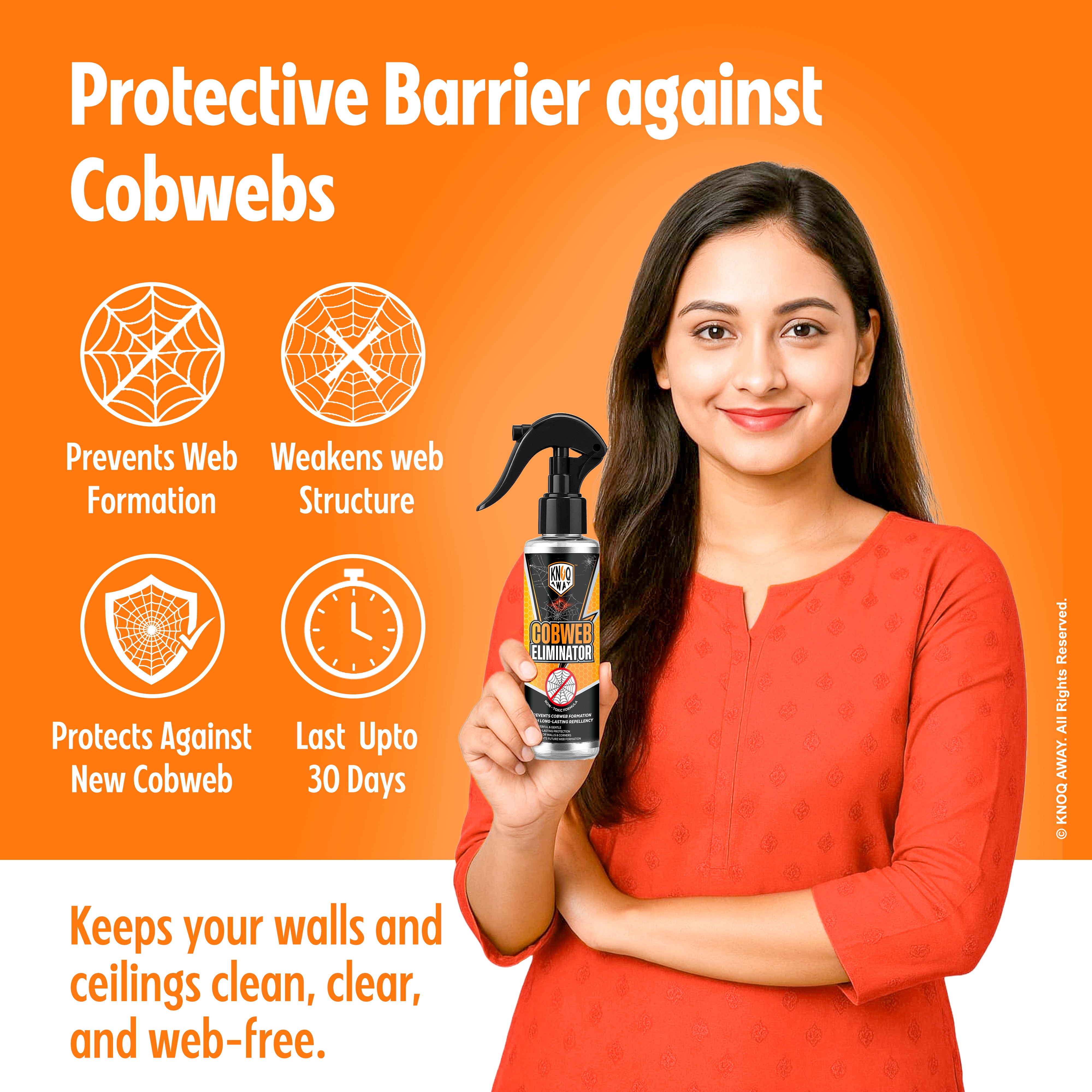 Cob Web Eliminator Spray (100ml)