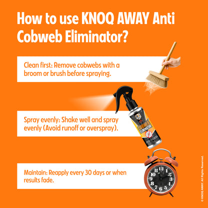 Cob Web Eliminator Spray (100ml)