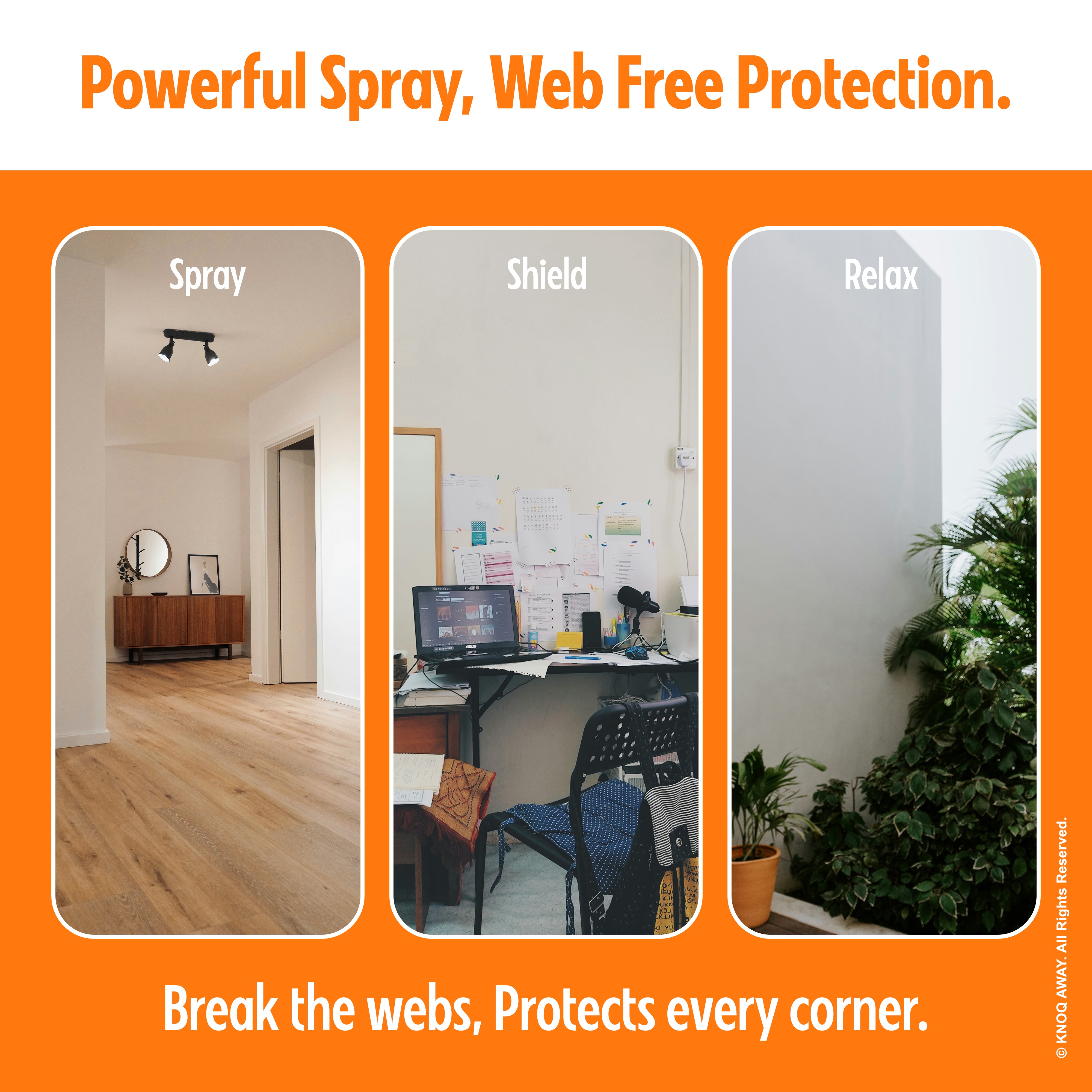 Cob Web Eliminator Spray (100ml)